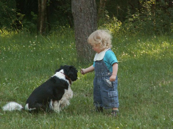 Henrik & Mulle